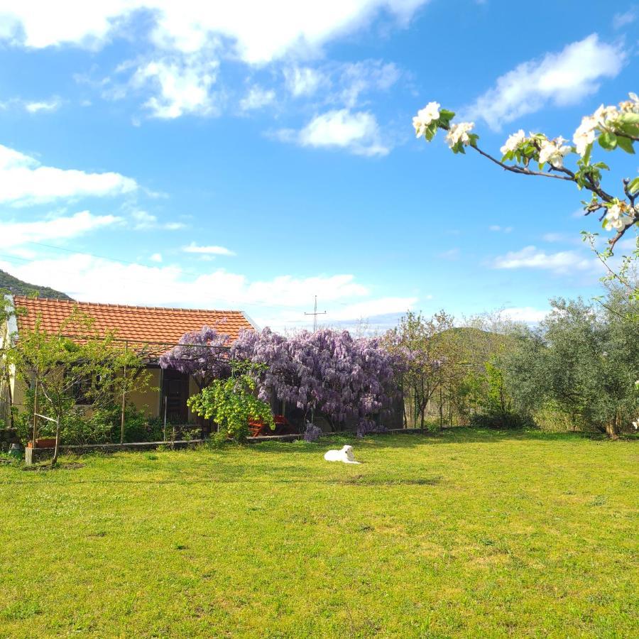 Ivan'S Holiday Home Virpazar Exterior photo